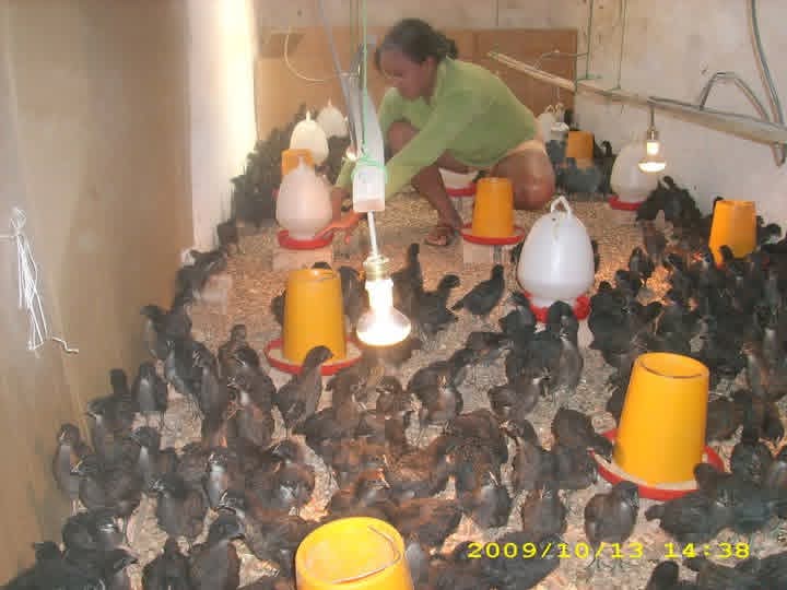 BIO MADA - Préparation 1