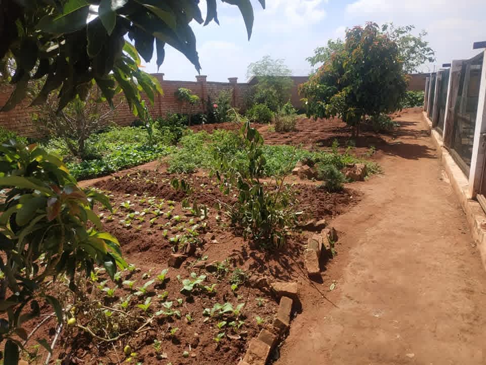 BIO MADA - Préparation 15